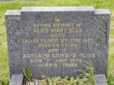 image of grave number 949704